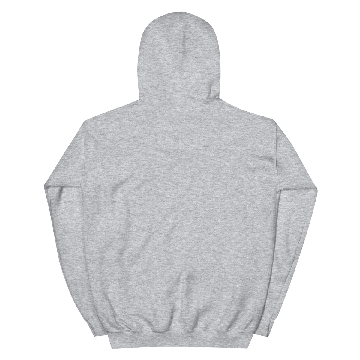 Sweat gris clair Ataraxia à capuche, vue de dos